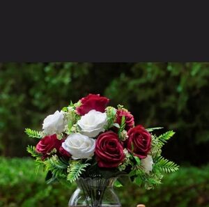 Lot of 50 Stem of Red And White Rose